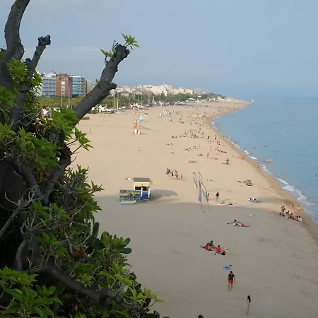 Toyca 316 Calella